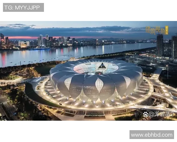 杭州乒乓球队在全国锦标赛中的崛起与突破历程全景回顾